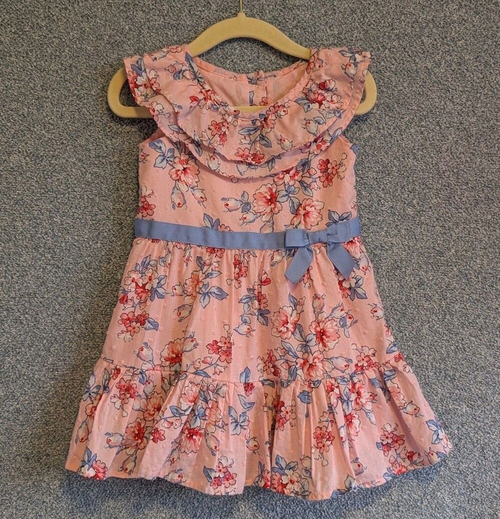 Janie and Jack Size 18-24M Blossom Town Lined Cotton Floral Ruffle Dress